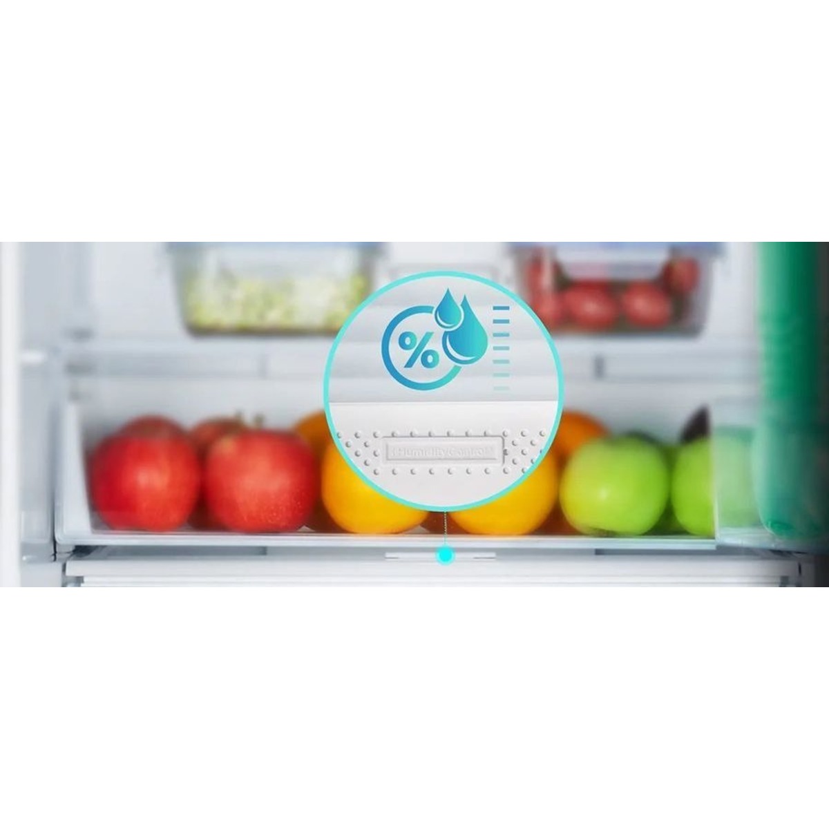 Холодильник Hisense RB390N4BC2 (Цвет: Inox)