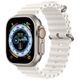 Умные часы Apple Watch Ultra 49mm Titani..