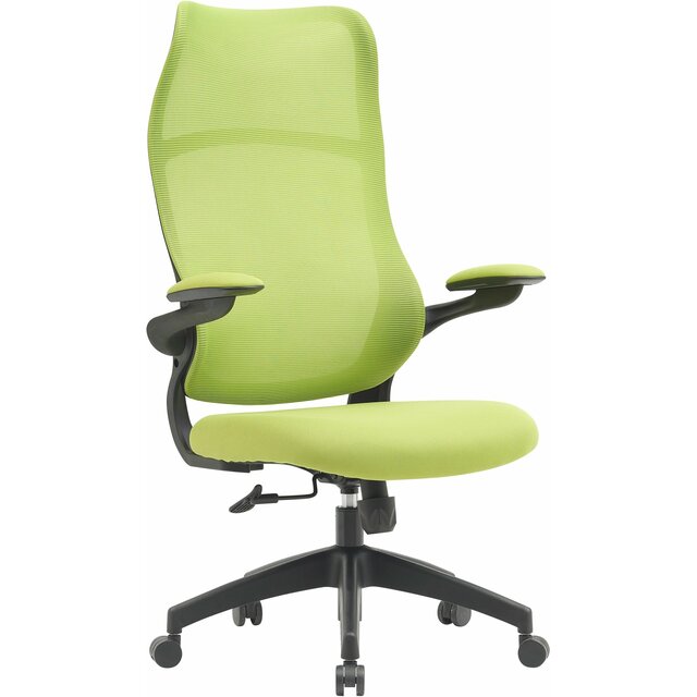 Кресло Cactus CS-MC505-GN (Цвет: Green) Кресло Cactus CS-MC505-GN (Цвет: Green)