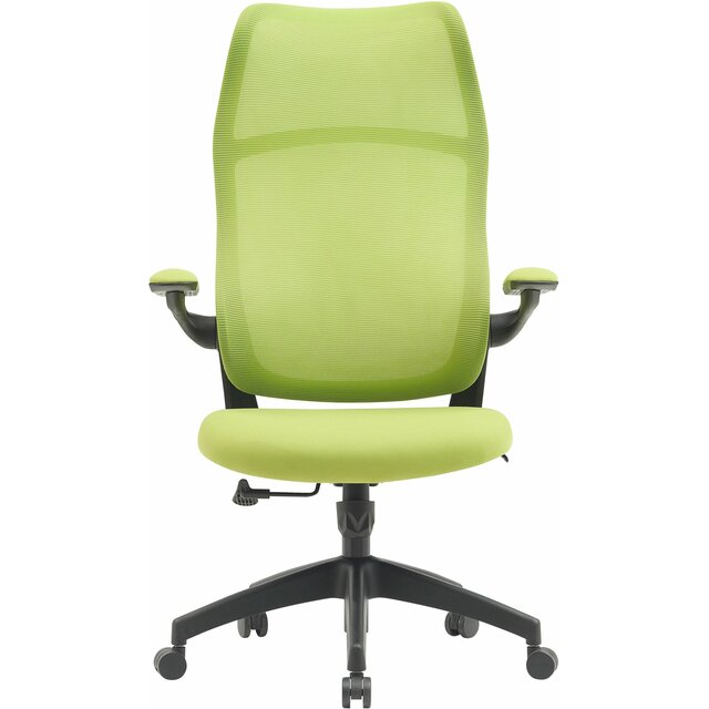 Кресло Cactus CS-MC505-GN (Цвет: Green) Кресло Cactus CS-MC505-GN (Цвет: Green)