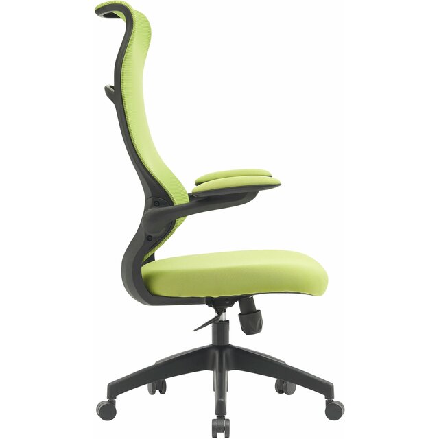 Кресло Cactus CS-MC505-GN (Цвет: Green) Кресло Cactus CS-MC505-GN (Цвет: Green)