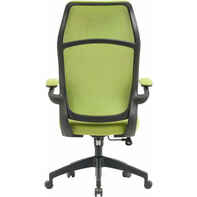 Кресло Cactus CS-MC505-GN (Цвет: Green) Кресло Cactus CS-MC505-GN (Цвет: Green)